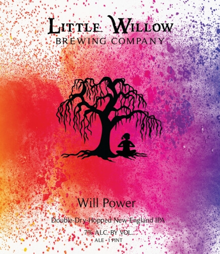 Little Willow Brewing Company Will Power