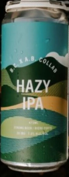 Field House Brewing Hazy IPA