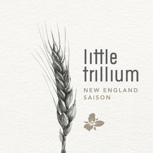 Trillium Brewing Company Little Trillium