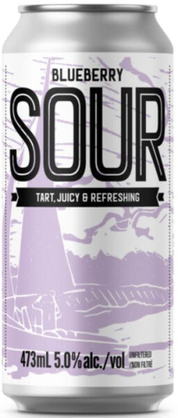 Copper Bottom Brewing Company Blueberry Sour
