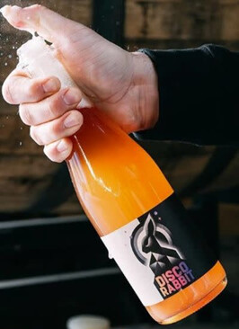 Twin Sails Brewing Disco Rabbit