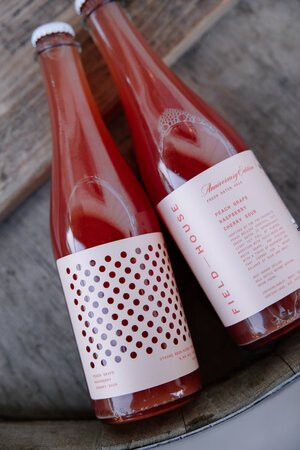 Field House Brewing Peach Grape Raspberry Cherry Sour