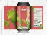 Mogwaï Beer Co. Dead Mosquitos Club