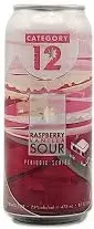 Category 12 Brewing Raspberry Vanilla Sour