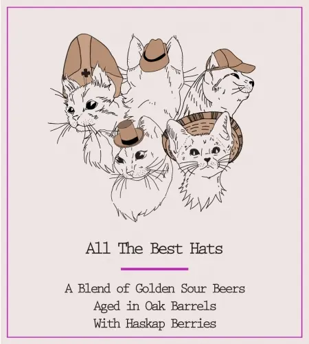 Small Pony Barrel Works All the Best Hats