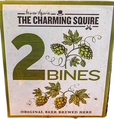 The Charming Squire 2 Bines
