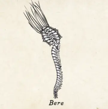 Wax Wings Brewing Company Bere : 1