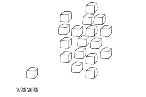 Pedra Beer Saison & Co. Series: Saison Souson