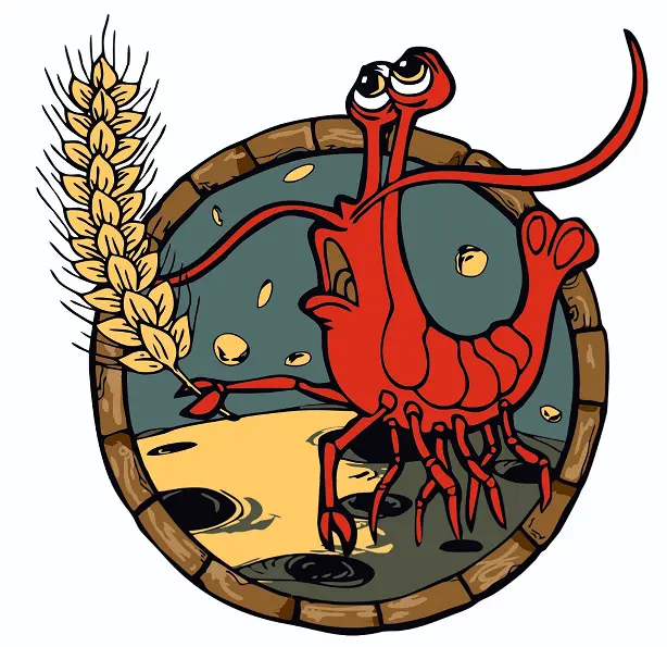 VodolaZ Brewery Wheat (Вит)