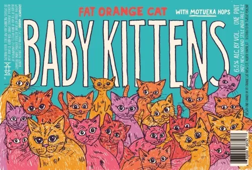 Fat Orange Cat Brew Company Baby Kittens - Motueka