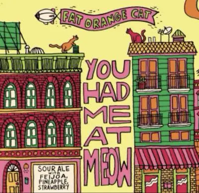 Fat Orange Cat Brew Company You Had Me At Meow - Feijoa, Pineapple, Strawberry