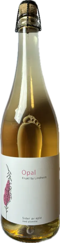 Beer image