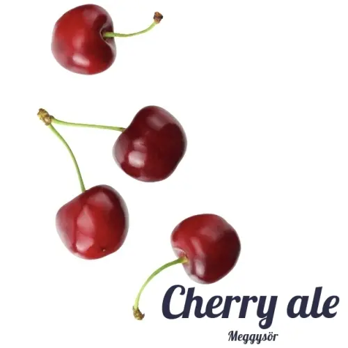 Parabolic Lazarus Brewery Cherry Ale