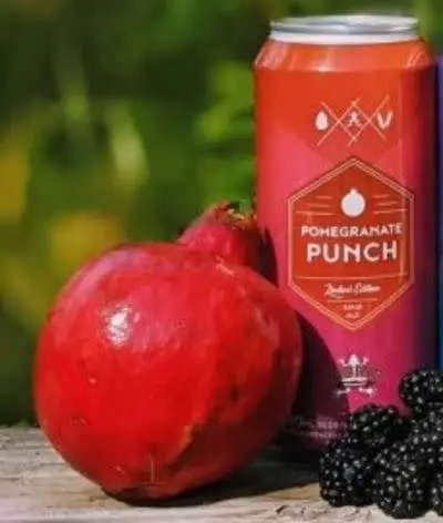 Dead Frog Brewery Pomegranate Punch Sour Ale