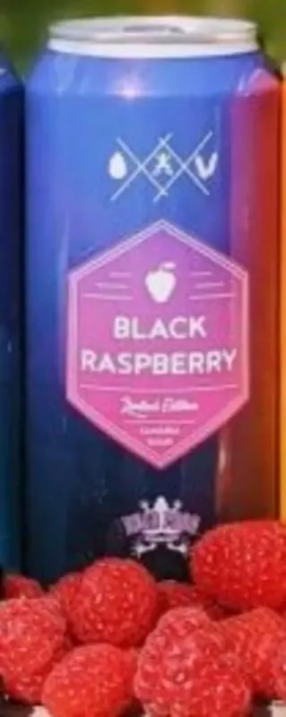 Dead Frog Brewery Black Raspberry Sangria Sour