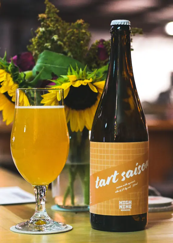 High Nine Brewing Tart Saison