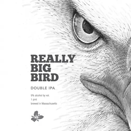 Trillium Brewing Company Really Big Bird