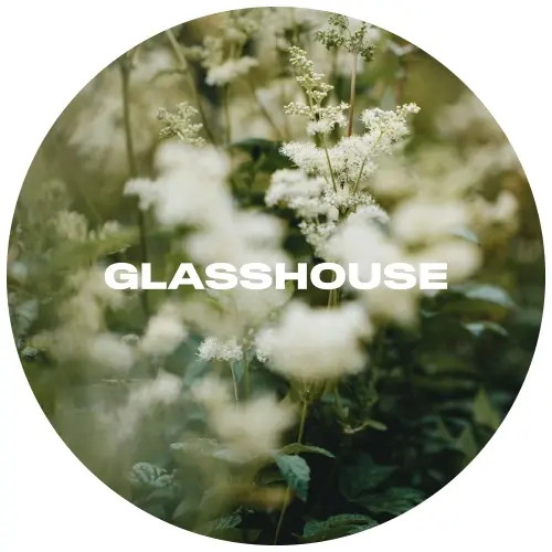 Glasshouse Beer Co Meadow
