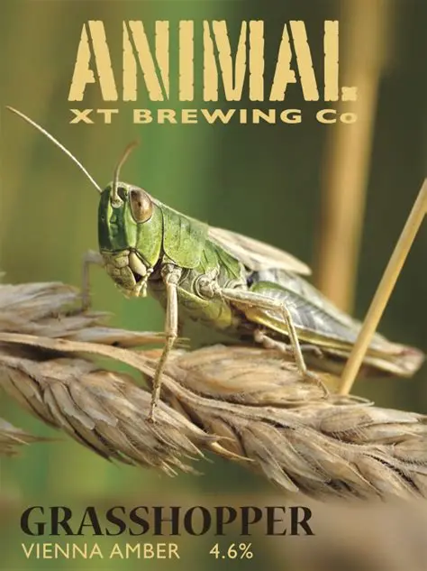 Animal Brewing Co Grasshopper