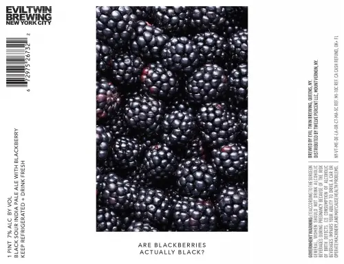 Evil Twin Brewing NYC Are Blackberries Actually Black?