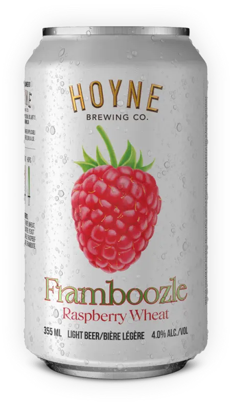Hoyne Brewing Framboozle