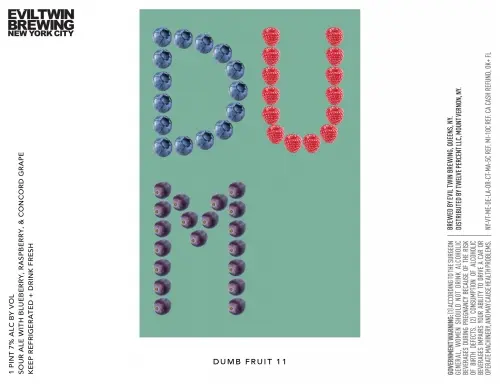 Evil Twin Brewing NYC Dumb Fruit 11: Blueberry, Raspberry, Concord Grape