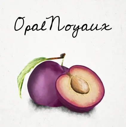 HenkeBier Opal Noyaux