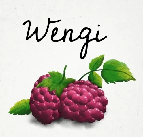 HenkeBier Wengi