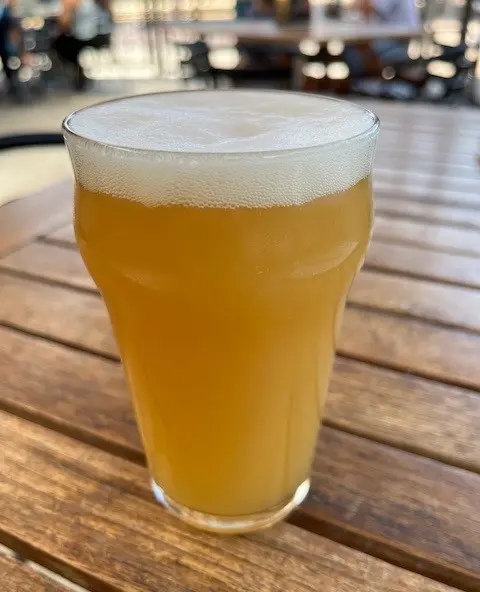 Second Street Brewery Sloppy Sloth Hazy IPA - Mosaic