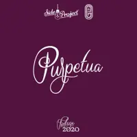Side Project Brewing Purpetua