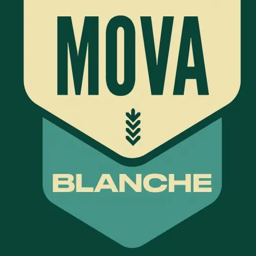 MOVA Brewing Co. Blanche