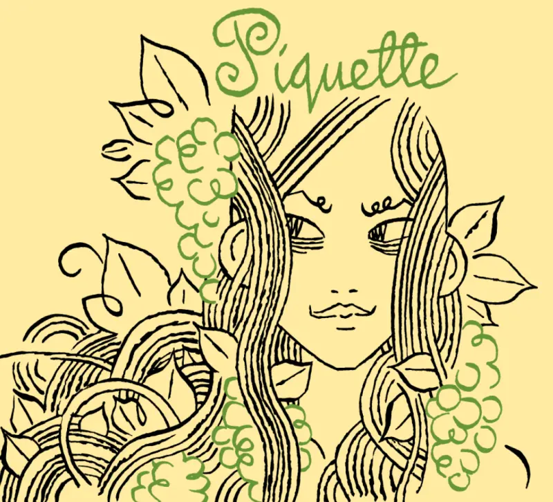 Burning Sky Brewery Piquette