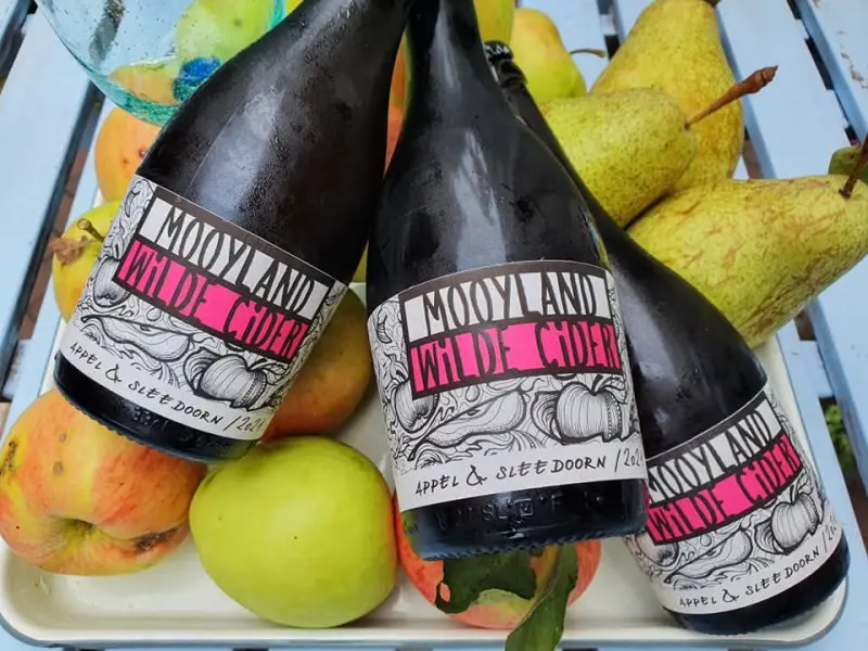 Mooyland Cider Wilde Cider Appel & Sleedoorn
