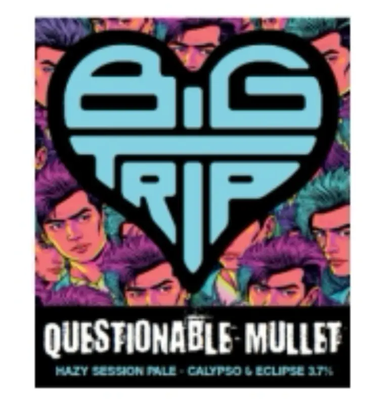 Big Trip Brewery Questionable Mullet