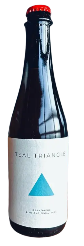 Manor Park Brewing Teal Triangle Guava Sour