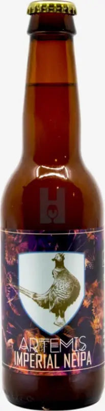 Brouwerij Artemis Imperial NEIPA