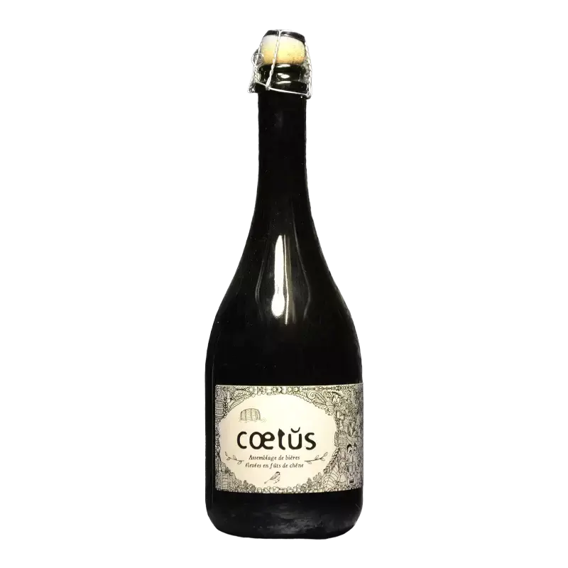 L'apaisée Coetus XII
