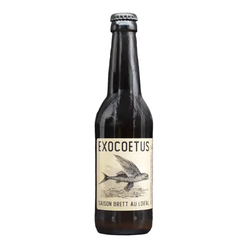 L'apaisée Exocoetus