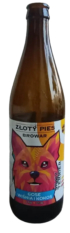 Złoty Pies #62 Silky Terrier