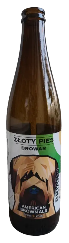 Złoty Pies #7 Briard