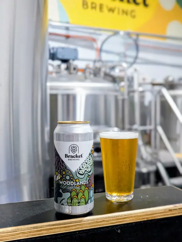 Bracket Brewing Woodlands