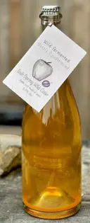 Salt Spring Wild Cider House Apple Plum