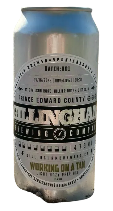 Gillingham Brewing Company Working On A Tan