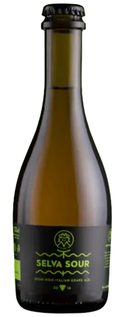 Birra dell' Eremo Selva Sour