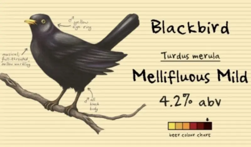 From The Notebook Blackbird