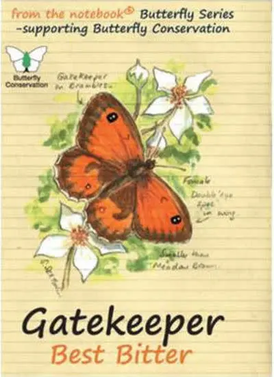 From The Notebook Gatekeeper