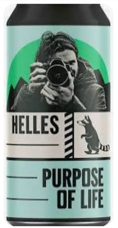 Wild Raccoon Purpose of Life