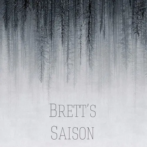 Stamm Brewing Brett's Saison