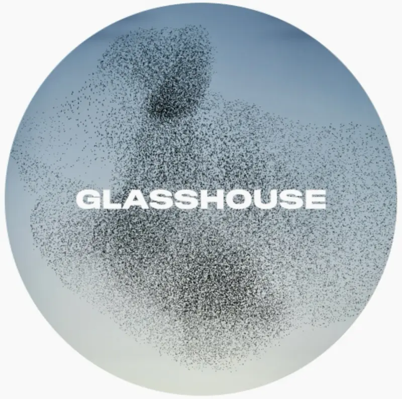 Glasshouse Beer Co Starting to Fly