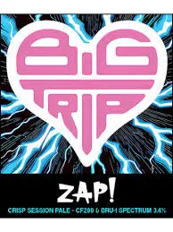 Big Trip Brewery Zap!
